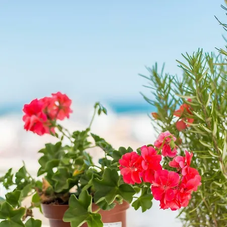 Ar De Mar Apartment *